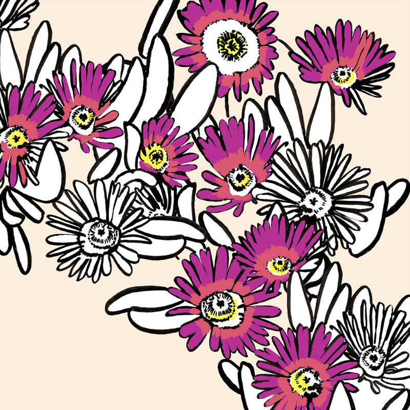 illustration penelope rolland fleurs 03.jpg - Pnlope ROLLAND | Virginie